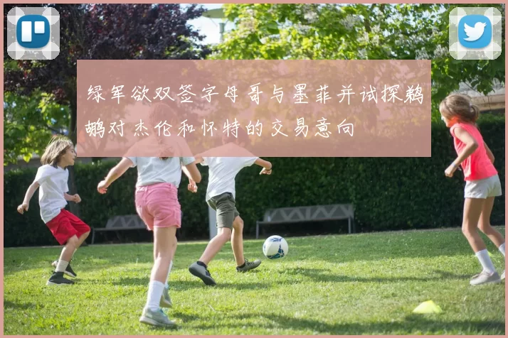 绿军欲双签字母哥与墨菲并试探鹈鹕对杰伦和怀特的交易意向